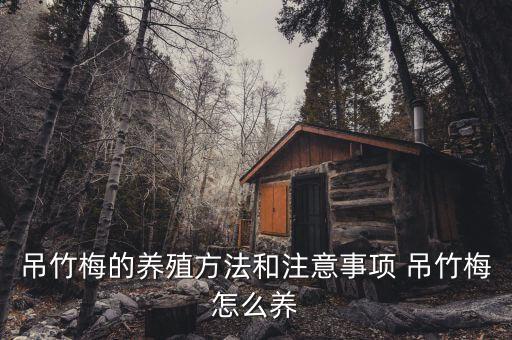 吊竹梅的养殖方法和注意事项 吊竹梅怎么养