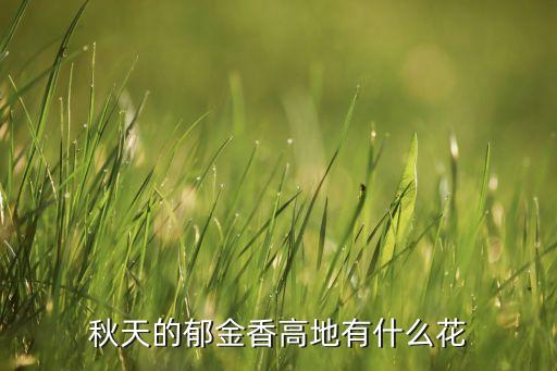 郁金香高地，关于郁金香高地的对联怎么写哦