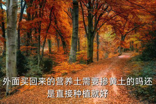 买的营养土还用掺土吗，外面买回来的营养土需要掺黄土的吗还是直接种植就好