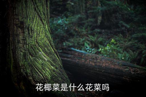 花椰菜是什么花菜吗