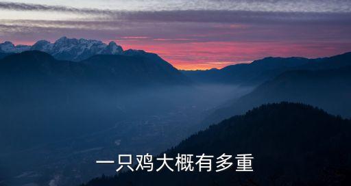 一只鸡大概有多重