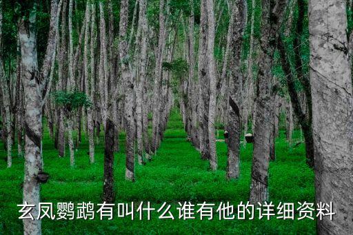 玄凤鹦鹉有叫什么谁有他的详细资料