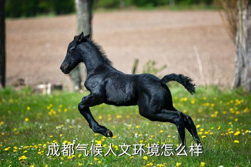 成都气候人文环境怎么样