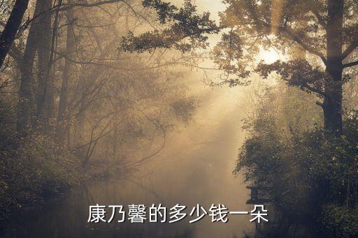 康乃馨多少钱一支，现在康乃馨多少钱一支