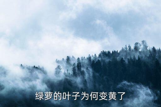 绿萝叶子发黄怎么回事，绿萝叶子发黄是怎么回事怎样治疗和预防