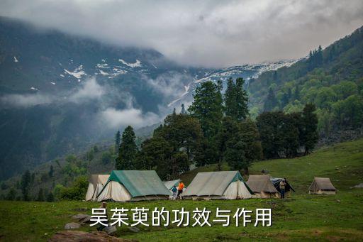 吴茱萸的功效与作用