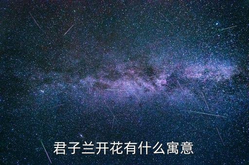 君子兰开花有什么寓意