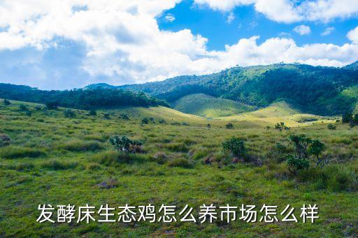 发酵床养鸡，发酵床养鸡有什么好处