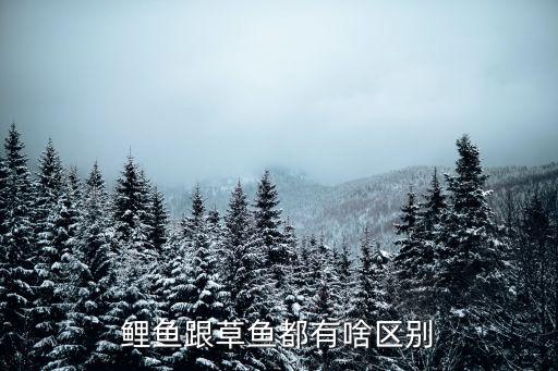 鲤鱼跟草鱼都有啥区别