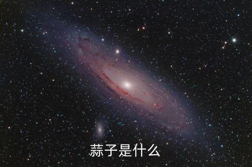 蒜子是什么
