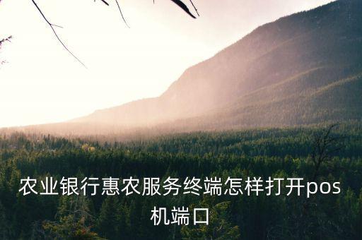 农业收款机怎么设置，农业银行惠农服务终端怎样打开pos机端口