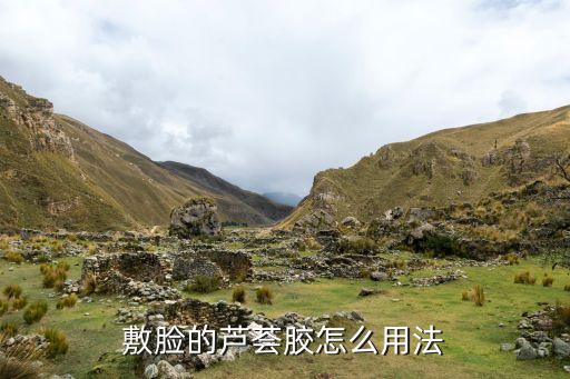 芦荟胶面膜，芦荟面膜什么牌子好