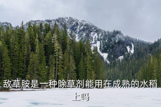 敌草胺，敌草胺是一种除草剂能用在成熟的水稻上吗