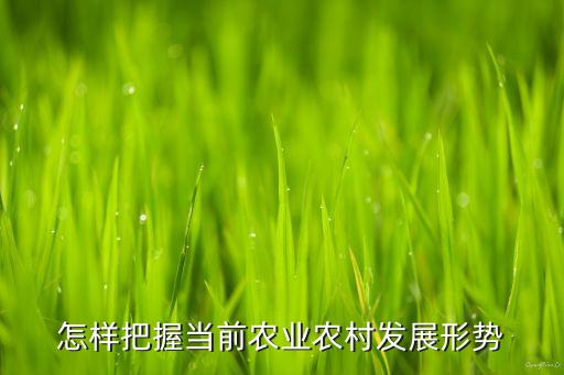 怎样把握当前农业农村发展形势