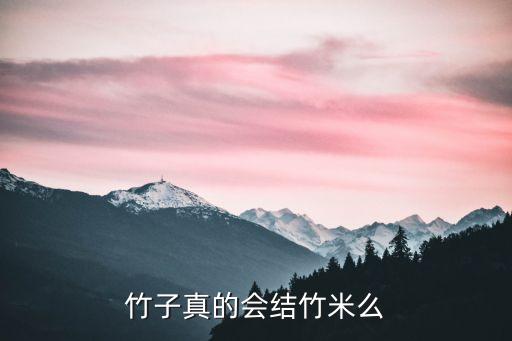 米竹图片，佐助的图片