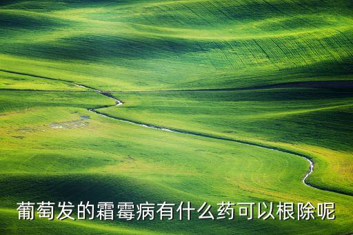 葡萄霜霉病，葡萄霜霉病