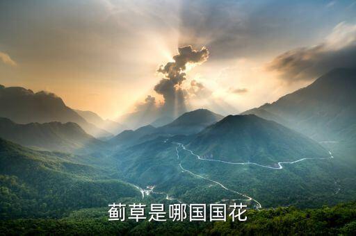 蓟草是哪国国花