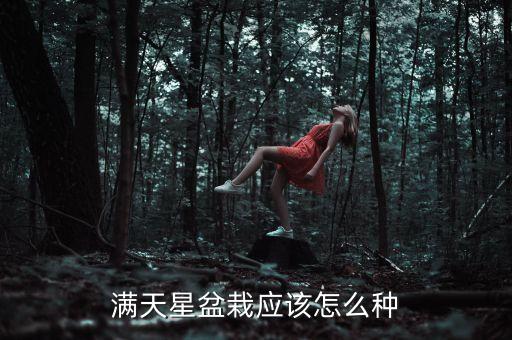 满天星盆栽应该怎么种