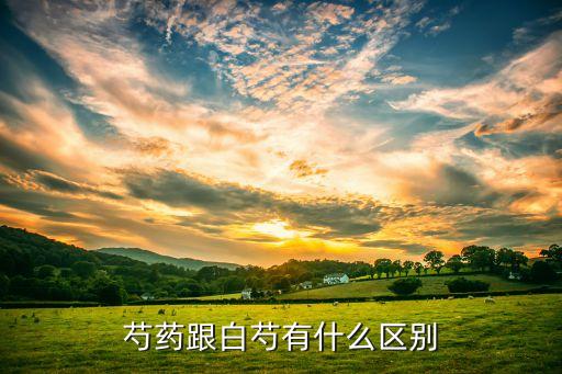 白芍是芍药吗，中药饮片中的芍药是指赤芍还是白芍