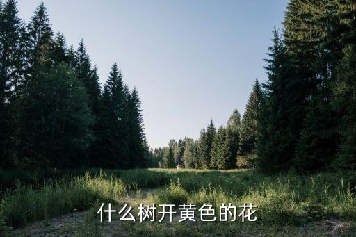 开黄花的树，什么树开黄色的花