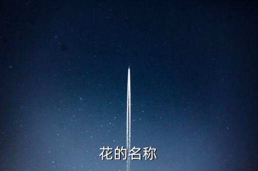 花类大全，花的名称