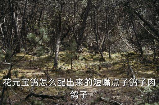 元宝鸽子，雄县肉鸽元宝鸽好养殖吗