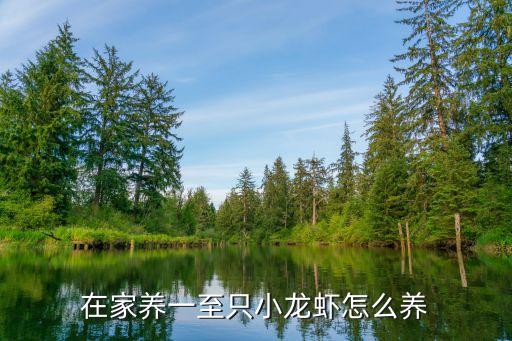 小龙虾在家怎么养，小龙虾怎么在家里养
