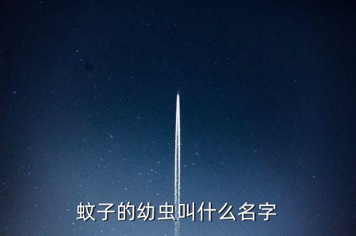 蚊子的幼虫叫什么名字
