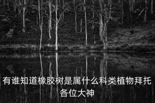 有谁知道橡胶树是属什么科类植物拜托各位大神