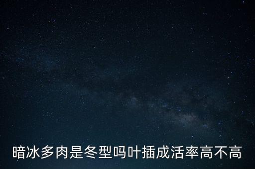 暗冰多肉，暗冰多肉是冬型吗叶插成活率高不高