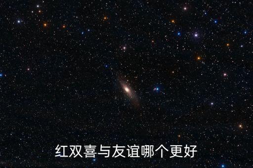 月季红双喜，红双喜与友谊哪个更好