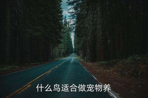 宠物鸟养什么好，我想养宠物鸟请问养哪一种好