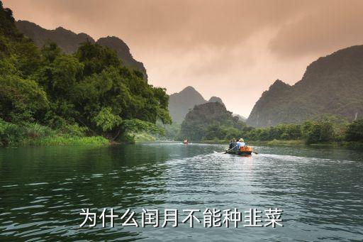 什么时候种韭菜，韭菜种植时间是什么