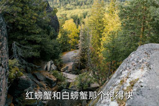 白蟹，白蟹厉害还是黑蟹厉害