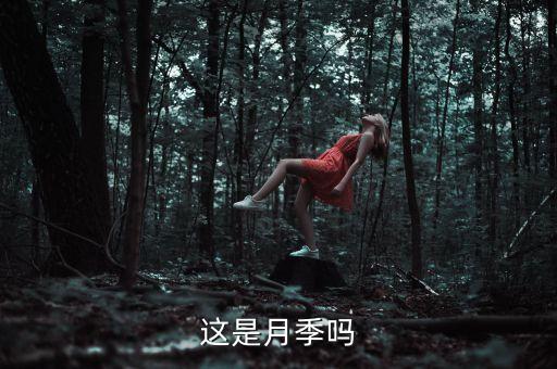 这是月季吗