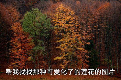 莲花照片，荷花开了是什么样子图片
