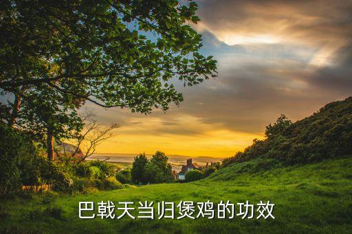 巴戟天当归煲鸡的功效