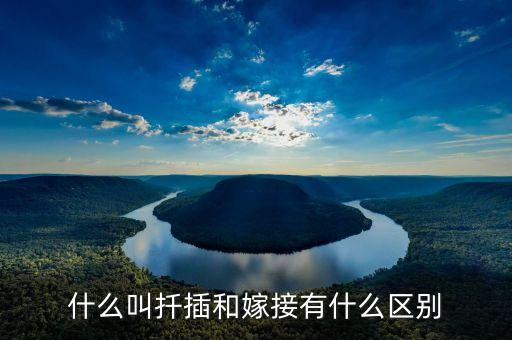 什么叫扦插和嫁接有什么区别
