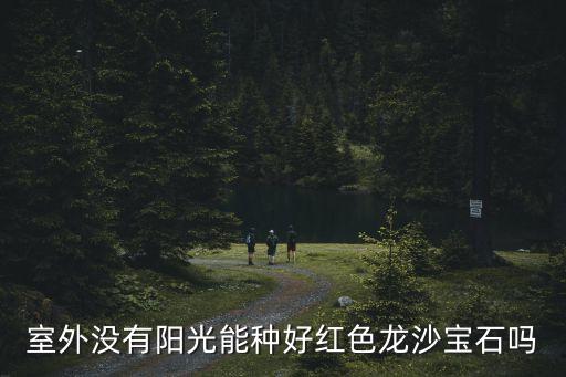 红色龙沙宝石月季，红色龙沙宝石花苞为什么打不开