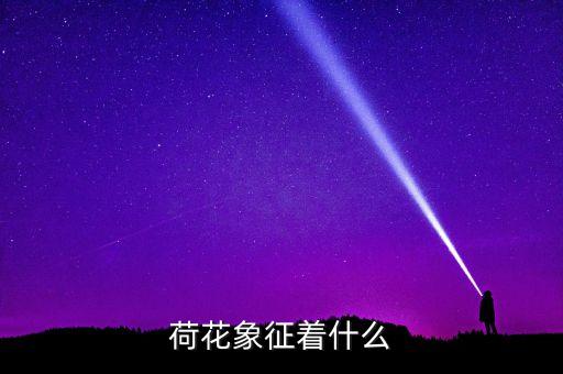 荷花的寓意，荷花的寓意是什么