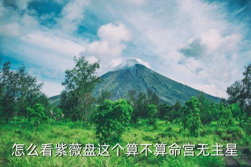 怎么看紫薇盘这个算不算命宫无主星