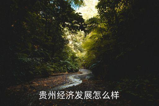 贵州经济发展怎么样