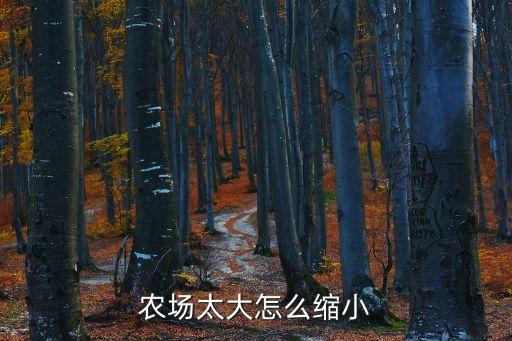 农业项目面积过大怎么管理，农场太大怎么缩小