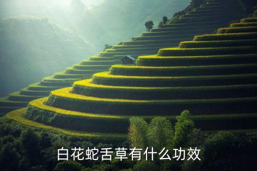白花蛇舌草的功效与作用，求助白花蛇舌草的主要作用
