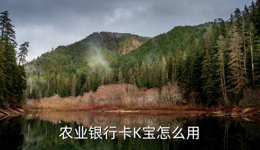 农业银行卡K宝怎么用