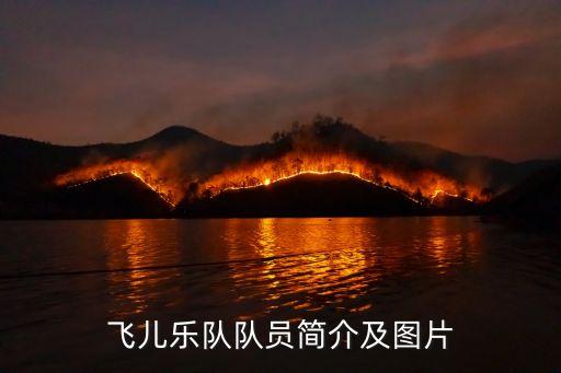 飞儿乐队队员简介及图片