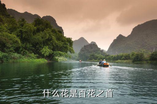 百花大全，所谓百花都有哪些它们的名称以及代表象征什么