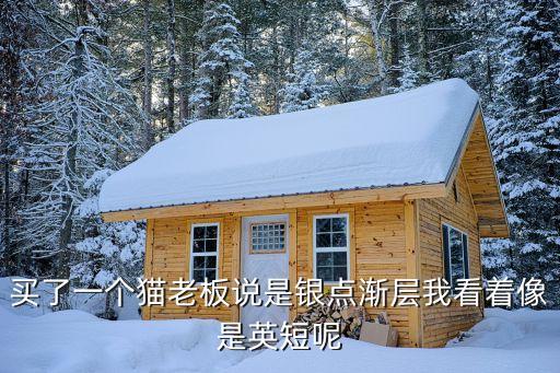 银渐层是英短吗，想问我家银渐层到底是英短还是美短 就是比较好奇我家臭咪到底是哪
