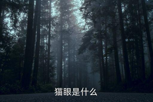 猫儿眼，歇后语猫儿眼