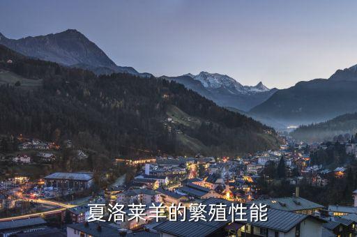 夏洛来羊，夏洛来羊的病情